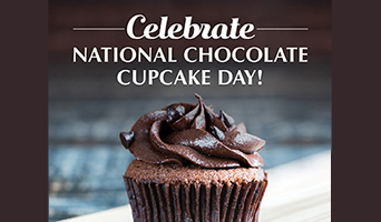 National Chocolate Cupcake Day